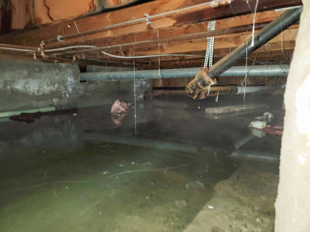  Mccall, ID Water damage restoration Pros