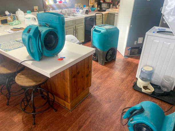 Best Basement water damage restoration  in Mccall, ID