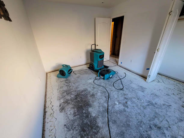 Best Mold removal after water damage  in Mccall, ID