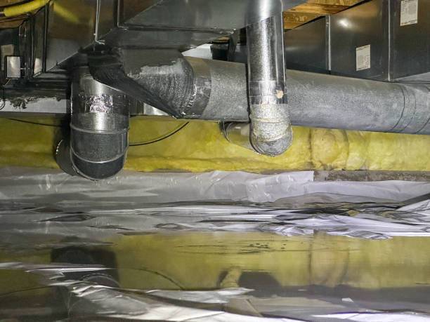 Best Local water damage restoration  in Mccall, ID