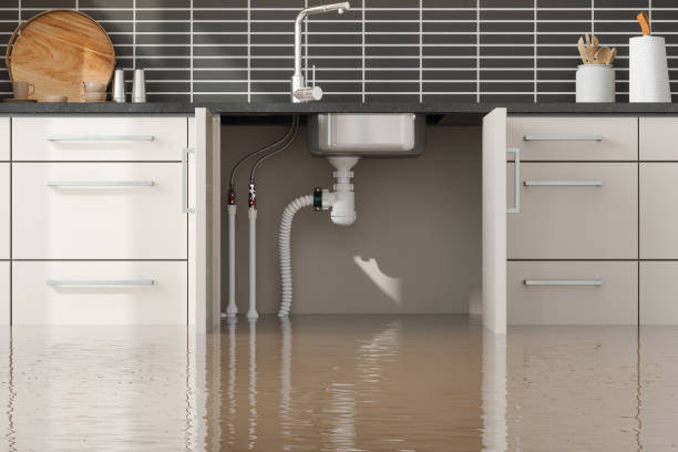 Best Basement water damage restoration  in Mccall, ID