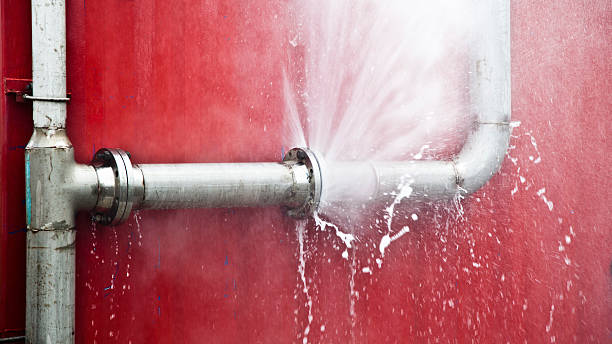 Best Flood damage cleanup  in Mccall, ID