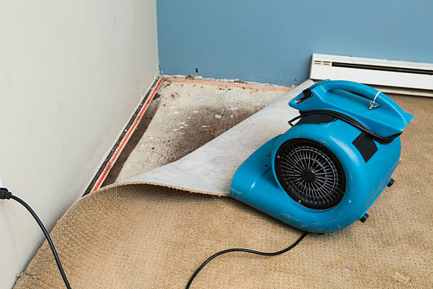 Best Commercial water damage restoration  in Mccall, ID